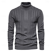 preiswerte Herrenpullover-Männlich Rollkragenpulli Pullover Zur Seite fahren Stricken Standard Solide / einfarbig Rollkragen Brautkleider schlicht Casual Bekleidung Winter Herbst Winter Schwarz Gelb S M L