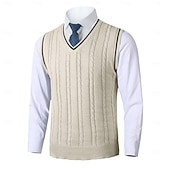 preiswerte Herrenpullover-Herren Pullunder Pullover Kleid Pullover Strickpullover Gerippt Gedrehtes Stricken Standard Strick Glatt V Ausschnitt warm halten Moderne zeitgenössische Freizeitskleidung Ausgehen Bekleidung Herbst