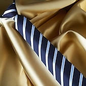 preiswerte Krawatten &amp; Fliegen für Herren-Herren Krawatten Klassisch Streifen und Plaid Formeller Abend Verabredung Party &amp; Abend