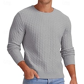 economico maglione pullover da uomo-Per uomo Pullover Maglione Maglione lavorato a maglia A coste Maglia Standard Lavorato a maglia Jacquard Liscio Girocollo Di tendenza Essenziale Da tutti i giorni Appuntamento Abbigliamento Autunno