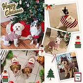 ieftine Pulovere-Câini Pisici Pulovere Jumper Modă Iarnă Cald Modă Comfortabil Crăciun Crăciun În aer liber Anul Nou Zilnice homewear Îmbrăcăminte pentru câini for Small Mediu