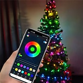 זול מופעל באמצעות USB-אלגנטי מסיבת קבלת חתונה מסיבת 5 מ&#039; 10 מ&#039; פיות LED אורות usb צבע חלום חכם אור מחרוזת שלט בקר אפליקציה לחדר חתונה קישוט עץ חג המולד