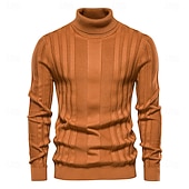 preiswerte Herrenpullover-Männlich Rollkragenpulli Pullover Zur Seite fahren Stricken Standard Solide / einfarbig Rollkragen Brautkleider schlicht Casual Bekleidung Winter Herbst Winter Schwarz Gelb S M L
