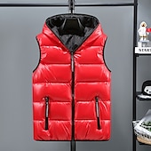 preiswerte Herren Steppweste-Herren Puffer Weste Kapuzenweste Gepolstert Weste Steppweste Täglich Verabredung Urlaub Modisch Brautkleider schlicht Herbst Winter Tasche Polyester warm halten Komfortabel Feste Farbe Reisverschluss