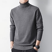 preiswerte Herrenpullover-Herren Pullover Strickpullover Gerippt Stricken Standard Strick Glatt Rollkragen Modisch Brautkleider schlicht Freizeitskleidung Verabredung Bekleidung Frühling &amp; Herbst Kamel Schwarz XS S M