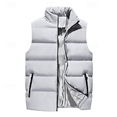 voordelige Gilets-Voor heren Winterjas Winterjack Puffervest Vest Gewatteerd vest Cardigan Casual Kamperen&amp;Wandelen Winter Zak Polyester Winddicht Warm Vrijetijdsschoenen Effen / effen kleur Opstaande boord Zwart Rood