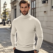preiswerte Herrenpullover-Herren Pullover Strickpullover Gerippt Stricken Standard Strick Glatt Rollkragen Modisch Brautkleider schlicht Urlaub Freizeitskleidung Bekleidung Herbst Winter Kamel Wein S M L