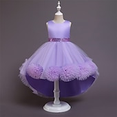 economico Vestiti per serate-Bambino Da ragazza Vestito da festa Tinta unica Senza maniche Prestazioni Compleanno Retato Bellissimo Dolce Poliestere Asimmetrico Vestito da festa Vestito svasato Abito linea A Estate 4-12 anni