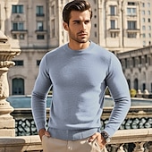 preiswerte Herrenpullover-Herren Wollpullover Pullover Kaschmir Kaschmirpullover Strickpullover Gerippt Stricken Standard Strick Glatt Rundhalsausschnitt Modisch Brautkleider schlicht Freizeitskleidung Verabredung Bekleidung