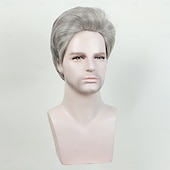 preiswerte Herrenperücken-Synthetische Perücken Glatt Asymmetrischer Haarschnitt Perücke Kurz Grau Synthetische Haare Herren Modisches Design Weich Natürlich Grau