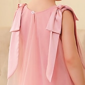 preiswerte Partykleider-kinderkleidung Mädchen Party Kleid Feste Farbe Blumen Ärmellos Hochzeit Besondere Anlässe Gitter bezaubernd Süß Polyester Knielang abendkleider Sommer Frühling Herbst 3-12 Jahre Rosa