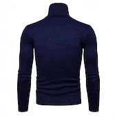 preiswerte Herrenpullover-Herren Pullover Strickpullover Rollkragenpullover für Herren Gerippt Stricken Standard Strick Glatt Rollkragen Modisch Brautkleider schlicht Freizeitskleidung Verabredung Bekleidung Herbst Winter