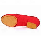 cheap Ballet Shoes-Women&#039;s Canvas Ballroom Dance Shoes with Low Heel and Suede Sole - Ideal for Latin Dance, Soft Sole Dance Shoes for Performance