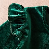 billiga Festklänningar-Barn Flickor Festklänning Ensfärgat Långärmad Prestanda Pegeant julfest Paljetter Volang Skön Ljuv Polyester Maxi Festklänning Swingklänning A linjeklänning Vår Höst 4 år + Rubinrött Grön