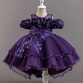 Copii Fete Rochie de petrecere Floral Floare Manșon scurt Nuntă Ocazie specială Zdrobit Fermoar Frumoasa Dulce Bumbac Poliester Asimetric Rochie de petrecere Vară Primăvară Toamnă 4-13 ani Alb ieftine Rochii de Petrecere-Copii Fete Rochie de petrecere Floral Floare Manșon scurt Nuntă Ocazie specială Zdrobit Fermoar Frumoasa Dulce Bumbac Poliester Asimetric Rochie de petrecere Vară Primăvară Toamnă 4-13 ani Alb