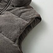 economico Gilet Puffer da Uomo-Per uomo Gilet imbottito Gilet in velluto a coste Gilet trapuntato Da tutti i giorni Da mare Per uscire Di tendenza Essenziale Primavera &amp; Autunno Cerniera Velluto a coste Comodo Liscio Cerniera