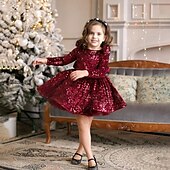 preiswerte Partykleider-kinderkleidung Mädchen Party Kleid Feste Farbe Langarm Leistung Gitter Prinzessin Süß Gitter Mitte der Wade Etuikleid Tüll-Kleid Sommer Frühling Herbst Kinder Schwarz Wein Marineblau