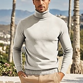 billige genser for menn-Herre Pullover genser Strikket genser Riflet Strikke Normal Strikket عادي Rullekrage Mote Fritid Dagligdagstøy Stevnemøte Klær Høst vinter Kamel Vin S M L