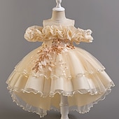 Copii Fete Rochie de petrecere Floral Floare Manșon scurt Nuntă Ocazie specială Zdrobit Fermoar Frumoasa Dulce Bumbac Poliester Asimetric Rochie de petrecere Vară Primăvară Toamnă 4-13 ani Alb ieftine Rochii de Petrecere-Copii Fete Rochie de petrecere Floral Floare Manșon scurt Nuntă Ocazie specială Zdrobit Fermoar Frumoasa Dulce Bumbac Poliester Asimetric Rochie de petrecere Vară Primăvară Toamnă 4-13 ani Alb