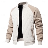 halpa Miesten takit-Miesten Bombertakki Fleecetakki Pehmustettu Rento / arki Vintage-tyyli Syystalvi Väripalikka Vapaa-aika Pystykaulus Normaali Kameli Aprikoosi Musta Armeijan vihreä Harmaa Jackets