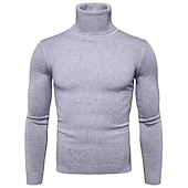 preiswerte Herrenpullover-Herren Pullover Strickpullover Rollkragenpullover für Herren Gerippt Stricken Standard Strick Glatt Rollkragen Modisch Brautkleider schlicht Freizeitskleidung Verabredung Bekleidung Herbst Winter
