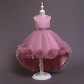 economico Vestiti per serate-Bambino Da ragazza Vestito da festa Tinta unica Senza maniche Prestazioni Compleanno Retato Bellissimo Dolce Poliestere Asimmetrico Vestito da festa Vestito svasato Abito linea A Estate 4-12 anni