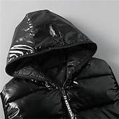 preiswerte Herren Steppweste-Herren Puffer Weste Kapuzenweste Gepolstert Weste Steppweste Täglich Verabredung Urlaub Modisch Brautkleider schlicht Herbst Winter Tasche Polyester warm halten Komfortabel Feste Farbe Reisverschluss