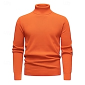 abordables Pull col rond-Homme Pull Pull en tricot A côtes Tricoter Normal Tricoté Plein Col Roulé Mode Décontractées Usage quotidien Rendez-vous Vêtement Tenue Automne hiver Vin Noir S M L