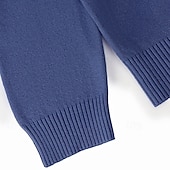 abordables Pull col rond-Homme Pull Pull court Pull en tricot A côtes Tricoter Normal Tricoté Plein Col V Mode Décontractées Usage quotidien Rendez-vous Vêtement Tenue Automne hiver Noir Bleu S M L