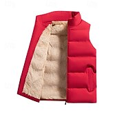 levne Pánská péřová vesta-Pánské Puffer Vesta Denní Na běžné nošení Jaro &amp; podzim Kapsy Polyester Pohodlné Pevná barva Zip Stojáček Běžný Černá Rubínově červená Tmavomodrá Vesta