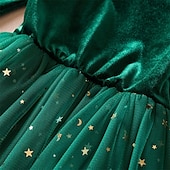 billiga Festklänningar-Barn Flickor Festklänning Ensfärgat Långärmad Prestanda Pegeant julfest Paljetter Volang Skön Ljuv Polyester Maxi Festklänning Swingklänning A linjeklänning Vår Höst 4 år + Rubinrött Grön