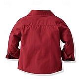 billiga T-shirts och skjortor för pojkar-Barn Pojkar Skjortor Ensfärgat Långärmad Lappverk Utomhus Mode Ljusgrön Vår &amp; Höst Kläder 3-7 år
