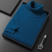 billige genser for menn-Herre Turtleneck genser Pullover genser Julegenser Riflet Strikke Vanlige topper Strikket عادي Rullekrage Hold Varm Moderne Moderne Dagligdagstøy Ut på byen Klær Høst Vinter Kamel Svart S M L