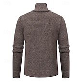 billige genser for menn-Herre Genser Tykk Strikke Lomme Halv glidelås Helfarge Høy krage Elegant Årgang Formell Hjem Klær Biskop Høst Vinter Rød Navyblå S M L
