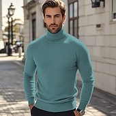 preiswerte Herrenpullover-Herren Pullover Strickpullover Gerippt Stricken Standard Strick Glatt Rollkragen Modisch Brautkleider schlicht Urlaub Freizeitskleidung Bekleidung Herbst Winter Kamel Wein S M L