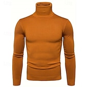 preiswerte Herrenpullover-Herren Pullover Strickpullover Rollkragenpullover für Herren Gerippt Stricken Standard Strick Glatt Rollkragen Modisch Brautkleider schlicht Freizeitskleidung Verabredung Bekleidung Herbst Winter