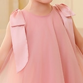 preiswerte Partykleider-kinderkleidung Mädchen Party Kleid Feste Farbe Blumen Ärmellos Hochzeit Besondere Anlässe Gitter bezaubernd Süß Polyester Knielang abendkleider Sommer Frühling Herbst 3-12 Jahre Rosa