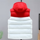 economico Gilet-Per uomo Gilet imbottito Imbottito Gilet Gilet trapuntato Giornaliero Appuntamento Da mare Di tendenza Informale Autunno inverno Tasche Poliestere Tenere al caldo Comodo Tinta unica Cerniera Con