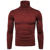 preiswerte Herrenpullover-Herren Pullover Strickpullover Rollkragenpullover für Herren Gerippt Stricken Standard Strick Glatt Rollkragen Modisch Brautkleider schlicht Freizeitskleidung Verabredung Bekleidung Herbst Winter