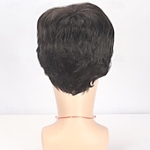 abordables Perruque homme-perruques pour hommes perruques noires courtes pour hommes perruques synthétiques superposées pour hommes perruques pour hommes à usage quotidien costume de cosplay de fête
