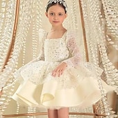 baratos Vestidos de Festa-Infantil Para Meninas Vestido de festa Côr Sólida Manga Longa Espetáculo Com Transparência Princesa Doce Com Transparência Longuette Vestido da bainha Vestido De Tule Verão Primavera Outono Crianças