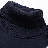 abordables Pull col rond-Homme Pull Pull en tricot A côtes Tricoter Normal Tricoté Plein Col Roulé Mode Décontractées Usage quotidien Rendez-vous Vêtement Tenue Automne hiver Vin Noir S M L