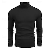 preiswerte Herrenpullover-Herren Pullover Strickpullover Rollkragenpullover für Herren Gerippt Stricken Standard Strick Glatt Rollkragen Modisch Brautkleider schlicht Freizeitskleidung Verabredung Bekleidung Herbst Winter