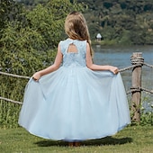 baratos Vestidos floridos-Infantil Para Meninas Vestido de daminha de honra Vestido de festa Côr Sólida Sem Manga Espetáculo Casamento Festa Com Transparência Frente Única Patchwork Elegante Doce Poliéster Renda Longo Vestido