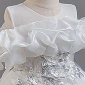 Copii Fete Rochie de petrecere Floral Floare Manșon scurt Nuntă Ocazie specială Zdrobit Fermoar Frumoasa Dulce Bumbac Poliester Asimetric Rochie de petrecere Vară Primăvară Toamnă 4-13 ani Alb ieftine Rochii de Petrecere-Copii Fete Rochie de petrecere Floral Floare Manșon scurt Nuntă Ocazie specială Zdrobit Fermoar Frumoasa Dulce Bumbac Poliester Asimetric Rochie de petrecere Vară Primăvară Toamnă 4-13 ani Alb