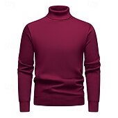 abordables Pull col rond-Homme Pull Pull en tricot A côtes Tricoter Normal Tricoté Plein Col Roulé Mode Décontractées Usage quotidien Rendez-vous Vêtement Tenue Automne hiver Vin Noir S M L