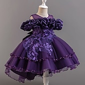 Copii Fete Rochie de petrecere Floral Floare Manșon scurt Nuntă Ocazie specială Zdrobit Fermoar Frumoasa Dulce Bumbac Poliester Asimetric Rochie de petrecere Vară Primăvară Toamnă 4-13 ani Alb ieftine Rochii de Petrecere-Copii Fete Rochie de petrecere Floral Floare Manșon scurt Nuntă Ocazie specială Zdrobit Fermoar Frumoasa Dulce Bumbac Poliester Asimetric Rochie de petrecere Vară Primăvară Toamnă 4-13 ani Alb