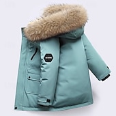 billiga Flickors dun- och parka-jacka-Barn Unisex Ner Hoodiejacka Ytterkläder Ensfärgat Långärmad Ficka Täcka Utomhus Dagligen Grundläggande Svart Vit Rubinrött Höst Vinter 4 år +