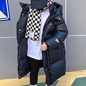 billiga Pojkars dunjacka och parka-Barn Pojkar Ner Hoodiejacka Pufferjacka Ytterkläder Ensfärgat Långärmad Ficka Täcka Utomhus Dagligen Grundläggande Svart Höst Vinter 5 år +