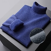 preiswerte Herrenpullover-Herren Pullover Strickpullover Gerippt Grobstricken Stricken Standard Strick Glatt Rollkragen Modisch Brautkleider schlicht Freizeitskleidung Verabredung Bekleidung Herbst Winter Kamel Schwarz M L XL